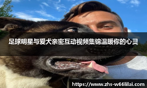 足球明星与爱犬亲密互动视频集锦温暖你的心灵